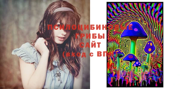 spice Белокуриха