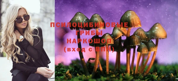 spice Белокуриха