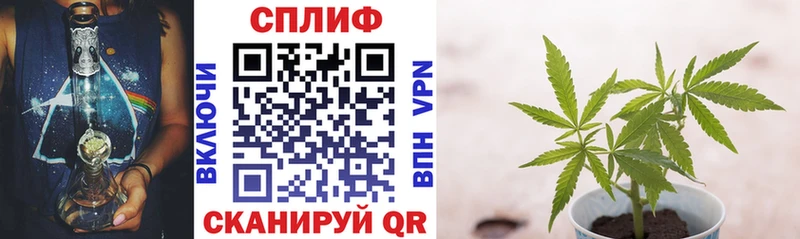 Купить закладки  Краснотурьинск  Марихуана White Widow 